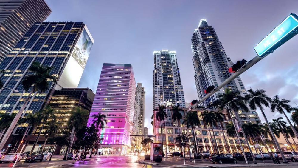 Commercial buildings in downtown Miami